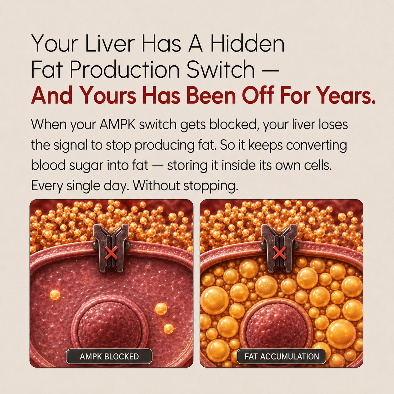 New Maximum Potency Formula - Liver Support Drops by Rejuva Labs™