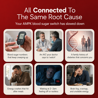 New Maximum Potency Formula - Blood Sugar Complex Drops by Rejuva Labs™